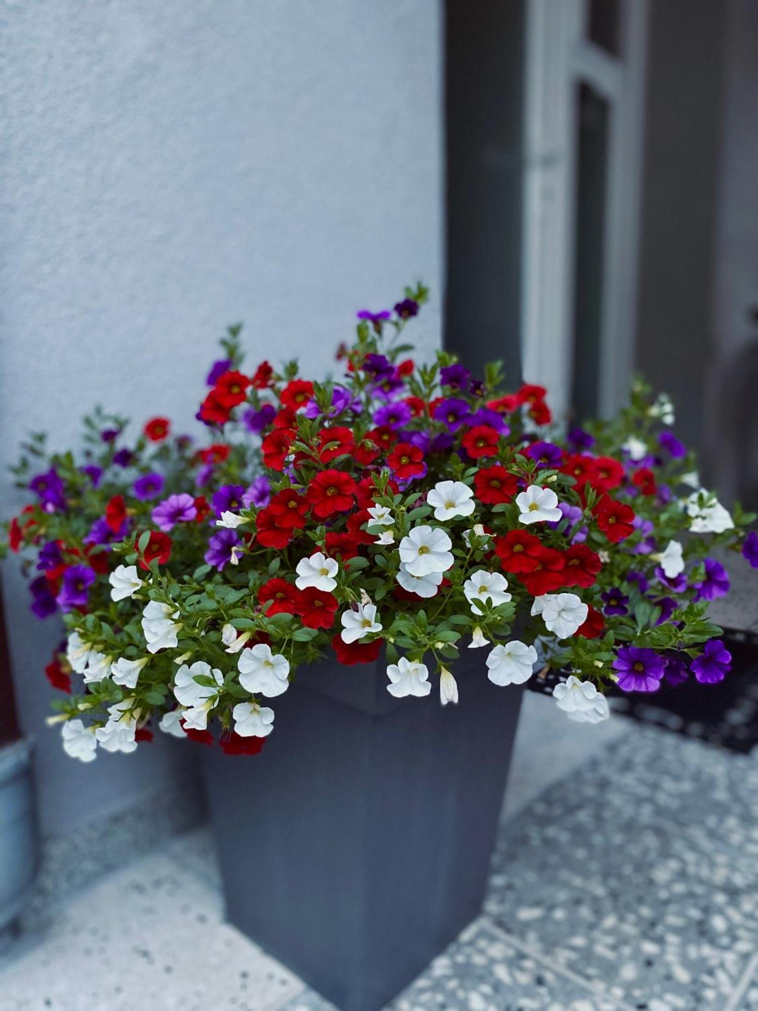 Greenhill Apartments Kumanovo Buitenkant foto